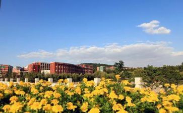 在学校的心得体会300字7篇
