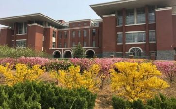 学校2024年语言文字工作总结最新7篇