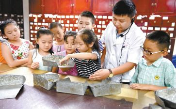 2024年小学艺术节活动方案8篇
