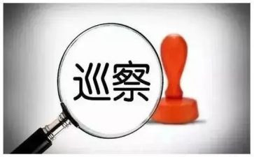 巡察组对照材料参考5篇