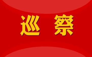 对镇巡察工作总结6篇
