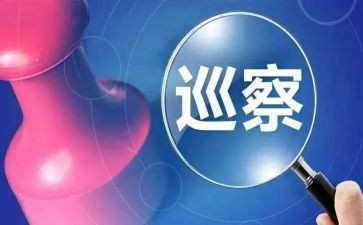 对镇巡察工作总结优秀5篇