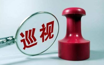 巡查组巡查工作总结6篇