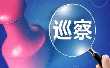 个人巡视对照材料7篇