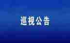 巡视工作个人总结5篇