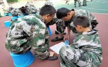 职业培训学校工作总结范文6篇