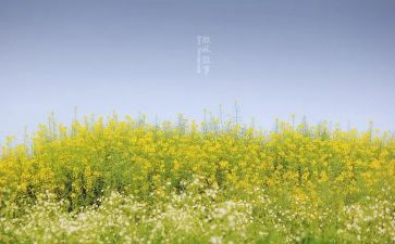 优秀的我作文叙事作文参考5篇