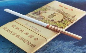 电子烟心得体会6篇