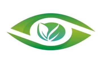 蓝眼睛棕眼睛读后感精选7篇
