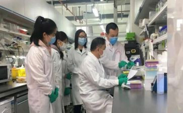 研发员试用期工作总结5篇