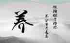 中医与养生心得体会5篇