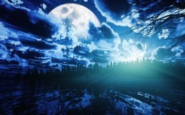 夜景灯作文最新6篇