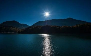 上海的夜作文5篇