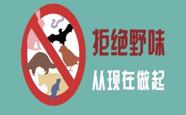 拒食野味的演讲稿6篇