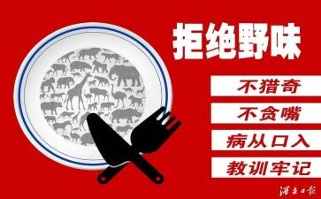 健康饮食拒绝野味演讲稿范文7篇