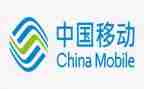在移动工作总结优质8篇
