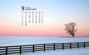 一个月辞职报告8篇