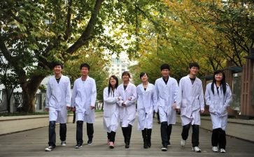 中医科个人年度总结5篇