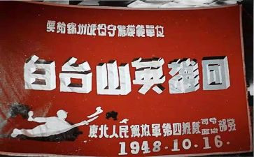 抗疫十等英雄事迹材料6篇