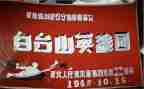 抗疫十等英雄事迹材料6篇