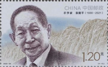 邮票设计教案5篇
