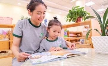 幼师工作的心得模板8篇