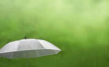 雨中的故事作文最新5篇