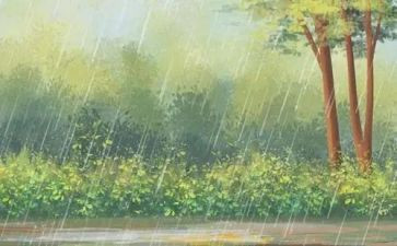大学下雨天军训心得体会5篇