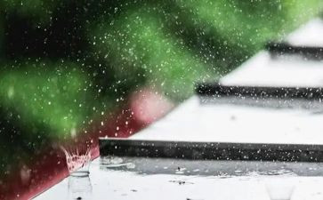 写四季的雨的作文5篇