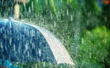 黑雨读书心得5篇