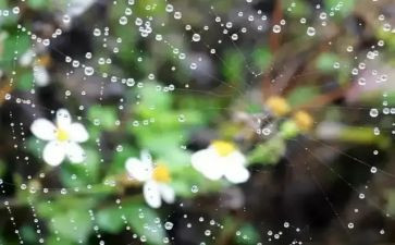 600字写雨的作文7篇