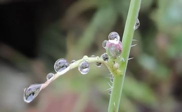 雨中的那个作文7篇