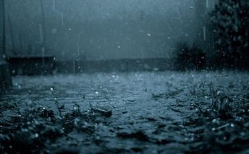 雨后彩虹优秀作文6篇
