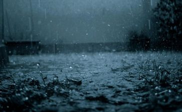 四季的雨的作文最新5篇