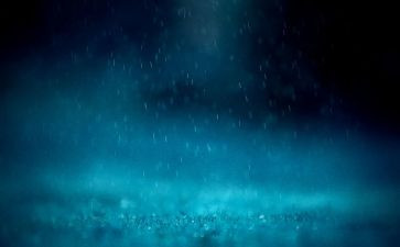 春雨的作文300字作文8篇