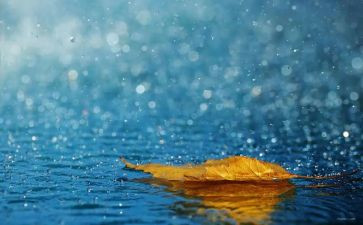 大班语言雨来啦教案及反思通用8篇