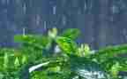 雨中的故事作文通用5篇