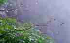 雨的主题活动方案模板5篇