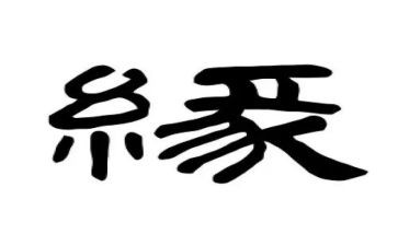 生命缘心得体会推荐8篇