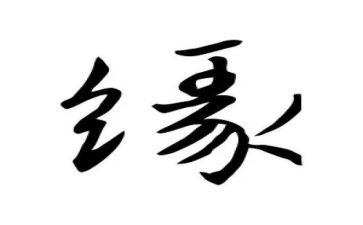 生命缘心得体会6篇
