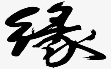 生命缘心得体会最新6篇
