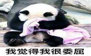被冤枉的作文6篇