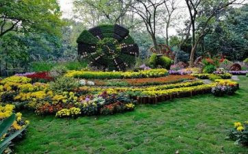 幼儿园艺术节活动方案通用5篇