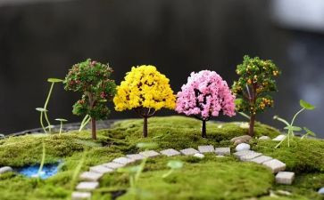 校园艺术节活动方案优秀6篇