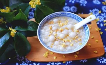 我祖父的园子读后感精选7篇