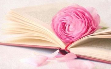 跟阅读有关的作文模板6篇