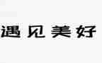 遇见你作文500字6篇