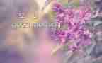 早恋主题班会教案7篇