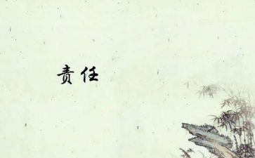 2024落实全面从严治党主体责任工作计划精选6篇