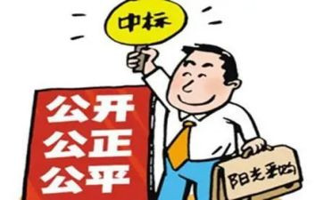 2024年招标办工作计划7篇